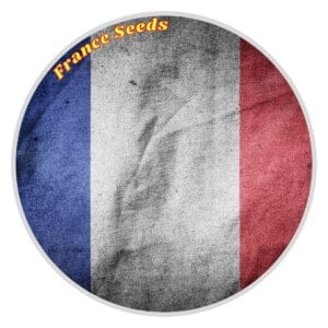 France's Cannabis Seeds