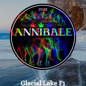Glacial Lake F1 Annibale Genetics