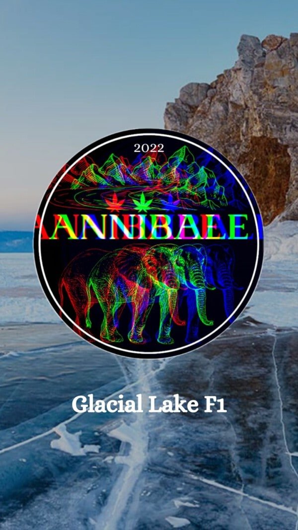 Glacial Lake F1 Annibale Genetics