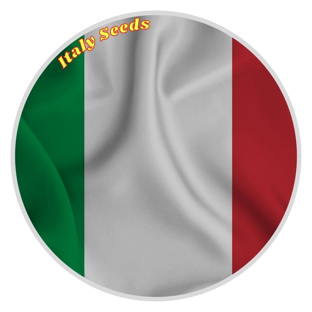 Italy's Cannabis Seeds