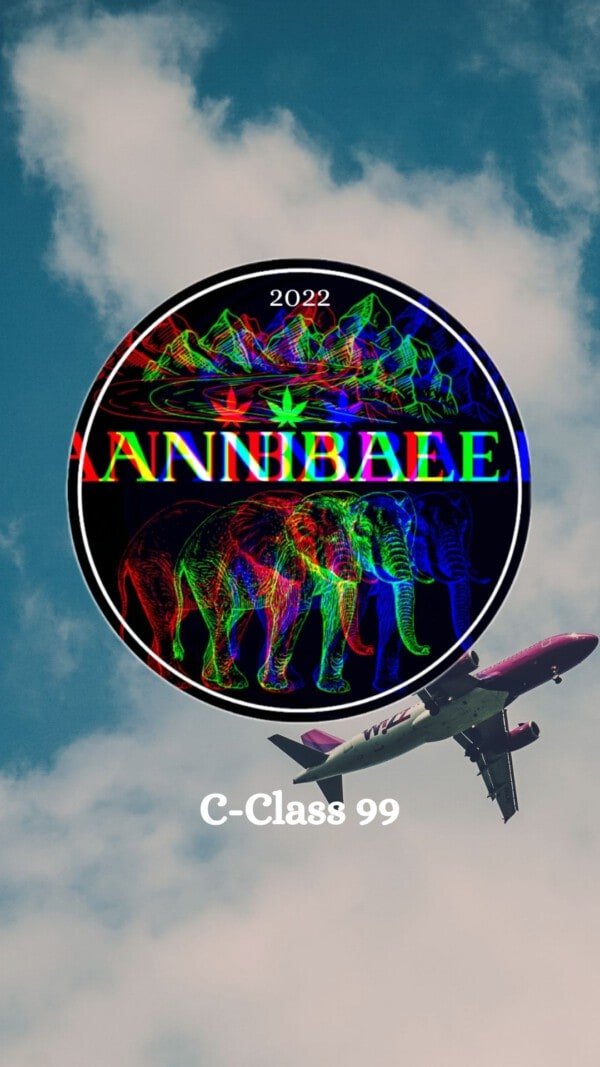 C-Class 99 - annibale genetics