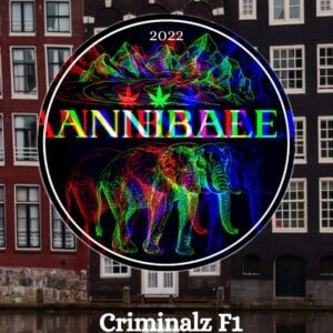 Criminalz F1 - Annibale Genetics