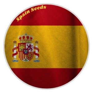Spain's Cannabis Seeds