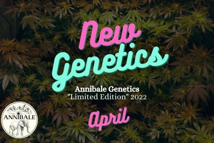 New Genetics Promo