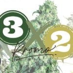 3x2 Promo Cannabis Seeds Annibale Genetics 2023