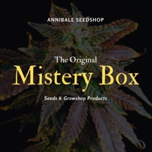 Mistery Box Annibale Seedshop