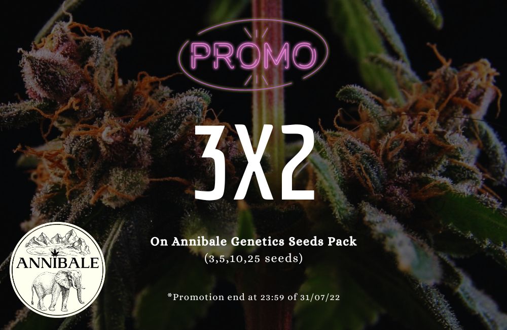 Promo 3x2 semi di cannabis 2022