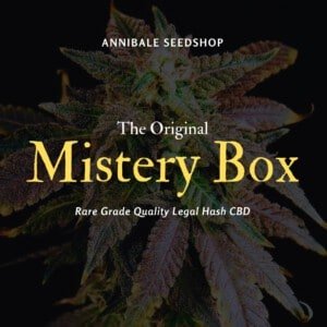 Mistery Box Legal Hash Cbd Annibale Seedshop