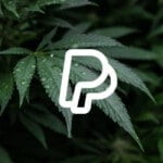 Where To Buy Cannabis Seeds Online With Paypal Satispay
