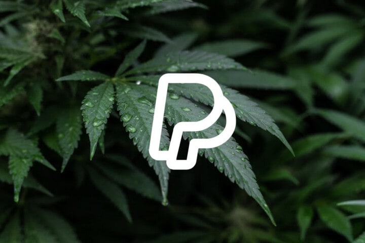 Where To Buy Cannabis Seeds Online With Paypal Satispay
