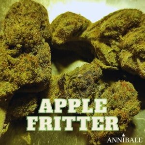 Apple Fritter Cbd Annibale Genetics (2)