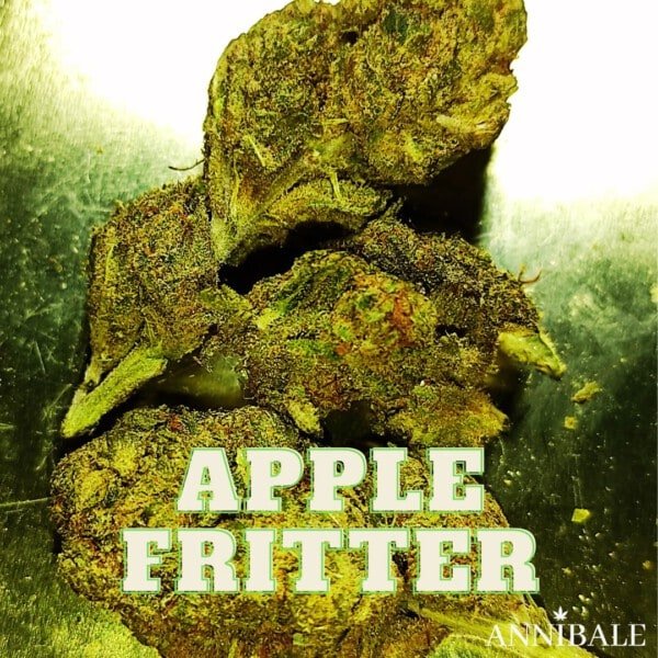 Apple Fritter Cbd Annibale Genetics (2)