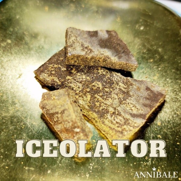 Iceolator Cbd Annibale Genetics