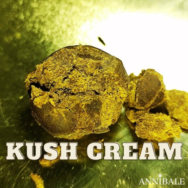 Kush Cream Cbd Annibale Genetics (1)