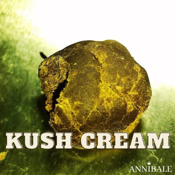 Kush Cream Cbd Annibale Genetics (2)