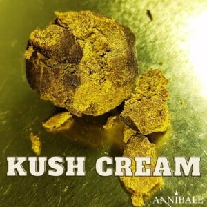 Kush Cream Cbd Annibale Genetics