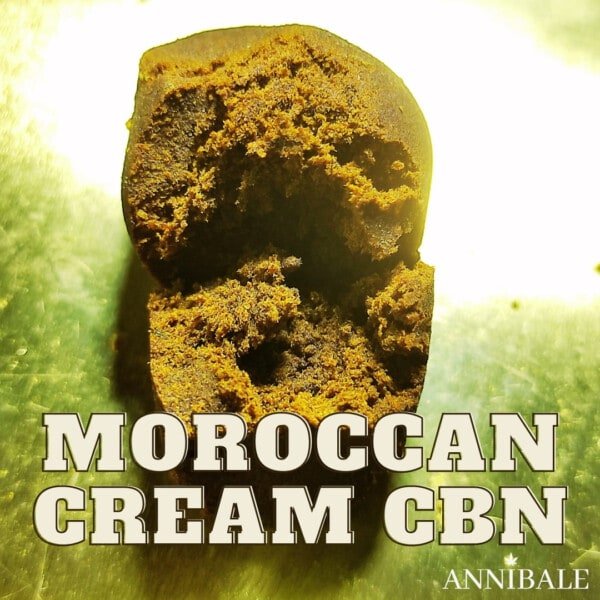 Moroccan Cream Cbn Cbd Annibale Genetics (1)