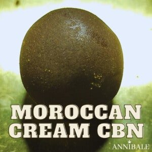 Moroccan Cream Cbn Cbd Annibale Genetics (3)