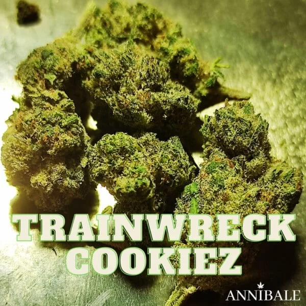 Trainwreck Cookiez Cbd Annibale Genetics (3)