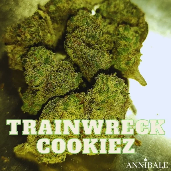 Trainwreck Cookiez Cbd Annibale Genetics (2)