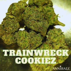 Trainwreck Cookiez Cbd Annibale Genetics (3)