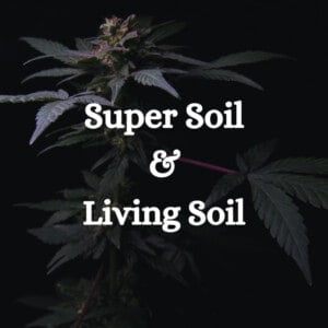 Super Soil & Living Soil