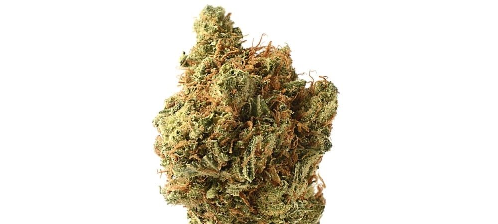 Amnesia Haze Gusto Effetti Prezzo Costo Semi