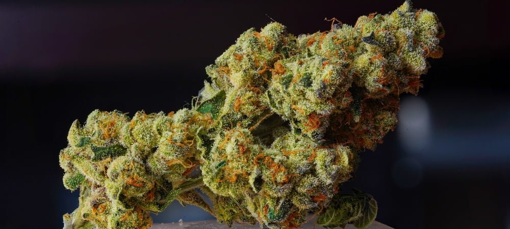 Best Cali U.s.a Cannabis Weed Varieties Effects