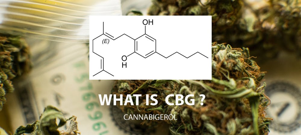 Cannabis Light Cbg What Is