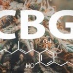 Cbg Cannabigerolo