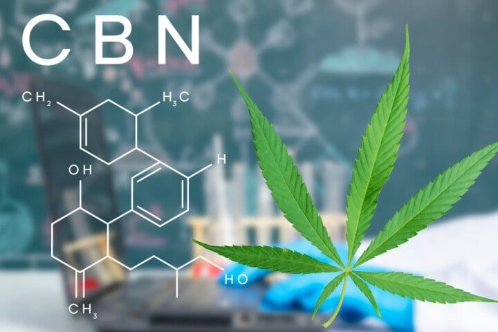 Cbn Cannabinolo