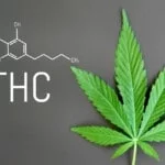 Cos'è Il Thc Della Cannabis=