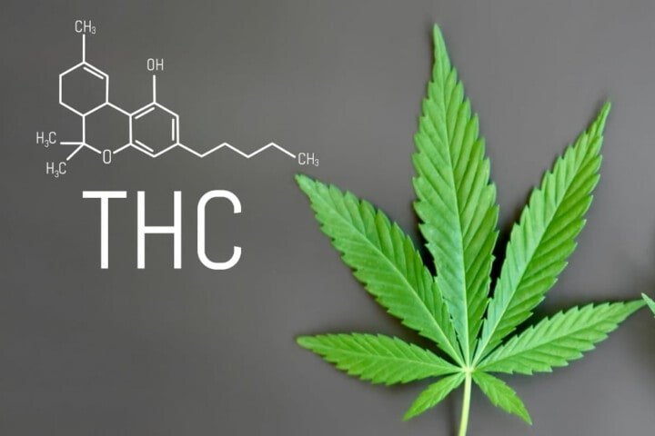 Cos'è Il Thc Della Cannabis=