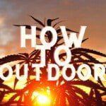 How To Grow Cannabis Weed Outdoor Guide