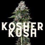 Kosher Kush Effect Taste Story Price Seeds