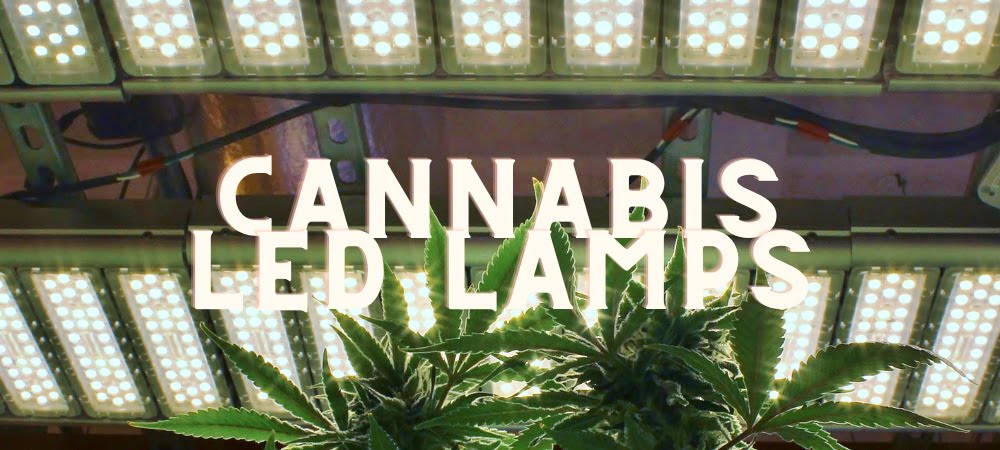 Lampade Led Coltivazione Indoor Cannabis Erba Marijuana