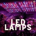 Led Lamps Cannabis Marijuana Weed Indoor Grow