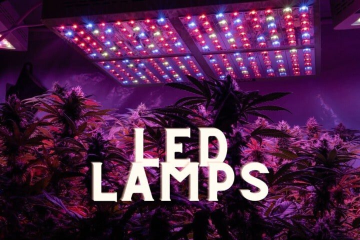 Led Lamps Cannabis Marijuana Weed Indoor Grow