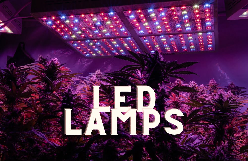 Led Lamps Cannabis Marijuana Weed Indoor Grow