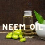 Neem Oil Cannabis Marijuana Weed Plant