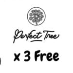 Perfect Tree Free Seeds 2023 (1)