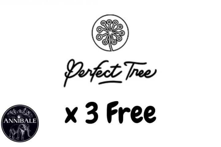 Perfect Tree Free Seeds 2023 (1)