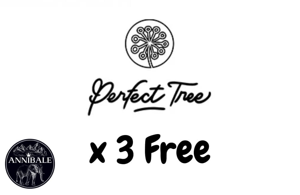 Perfect Tree Free Seeds 2023 (1)