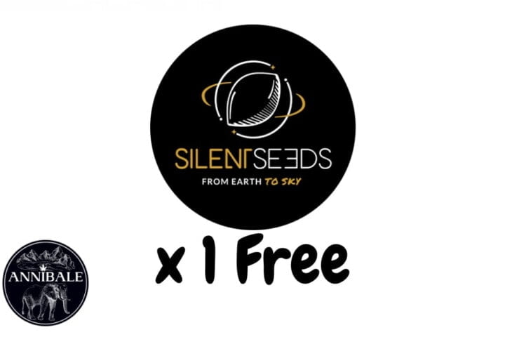 Silent Seeds Free Seeds 2023