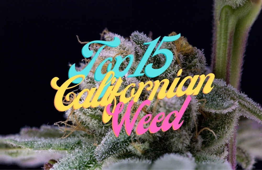 Top 15 Cali Cannabis Seeds