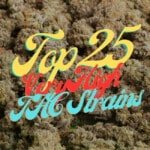 Top 25 Most Potent high thc Cannabis Seeds Varieties Strains