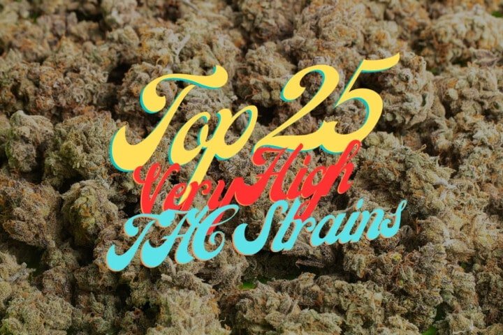 Top 25 Most Potent high thc Cannabis Seeds Varieties Strains