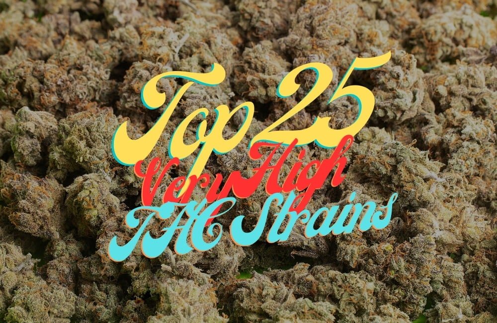 Top 25 Most Potent high thc Cannabis Seeds Varieties Strains