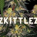 Zkittlez Effect Taste Story Price Seeds