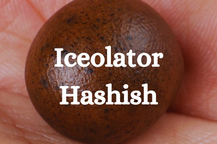 Ice O Lator Bubble Hash